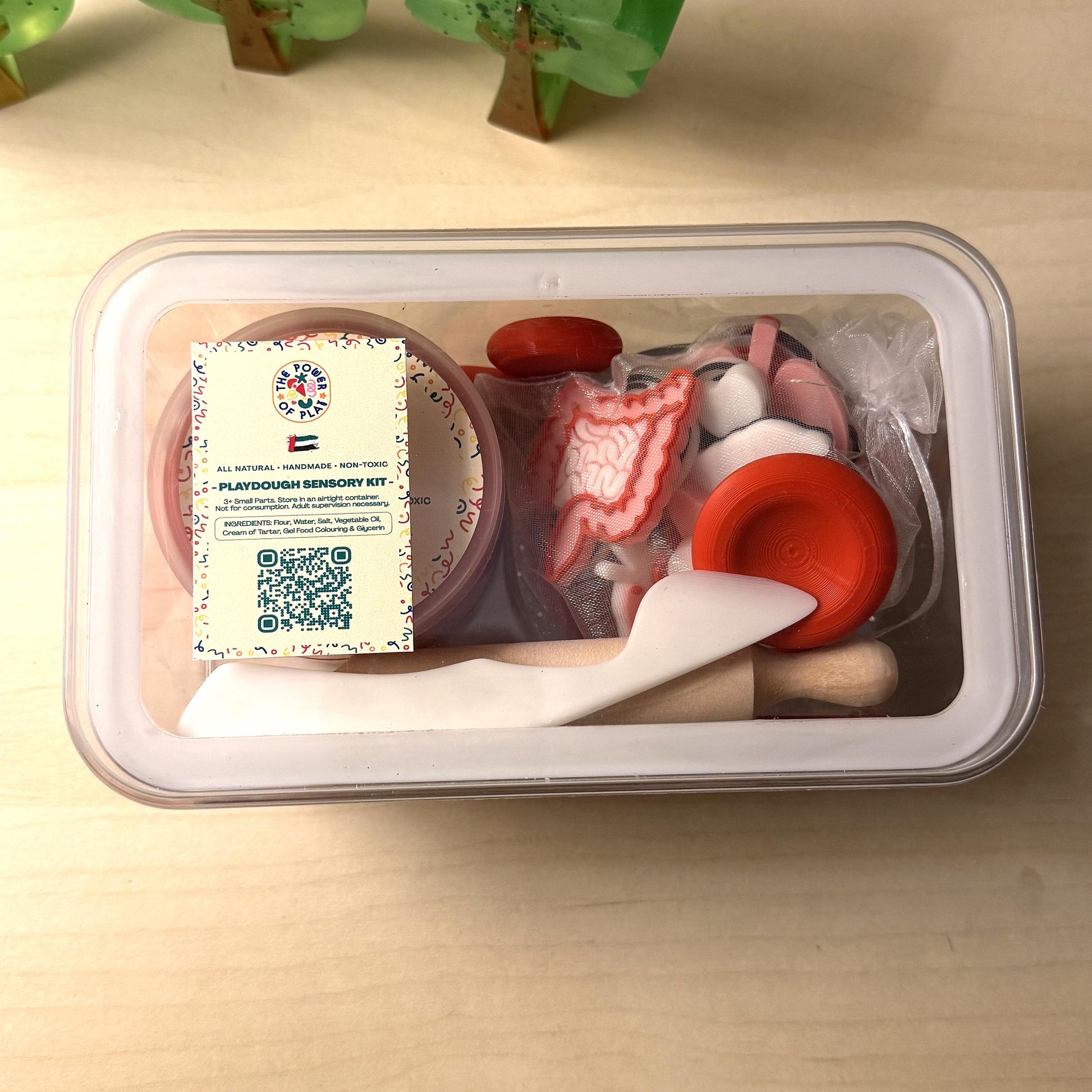 Small Sensory Kit - Anatomy