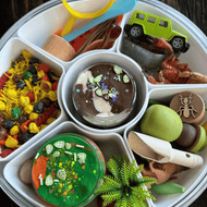 Large Sensory Kit Savannah Safari