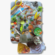 Large Sensory Kit Savannah Safari